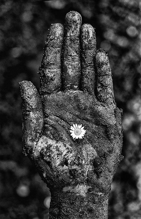 Week 7 | Hope | Self Portrait by artist Sarah Treanor ... year long self portrait project at 12monthscreativity.wordpress.com White Photo, A Flower, A Black, Black And White, White, Black