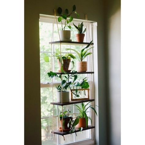 14 Plant Shelf Ideas to Liven Up Any Home - Bob Vila Window Hanging Shelves For Plants, Plant Shelf In Front Of Window, Bay Window Plant Display, Window Floating Shelves, Hanging Plant Rack, Plant Shelves Indoor, Window Plant Hanger, Window Shelves For Plants, Window Plant Shelves