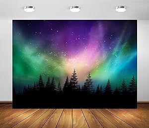 Northern Lights Decorations, Lights Backdrop, Night Sky Background, Canadian Forest, Polar Lights, Scene Setters, Vbs Themes, Forest Backdrops, Pine Trees Forest