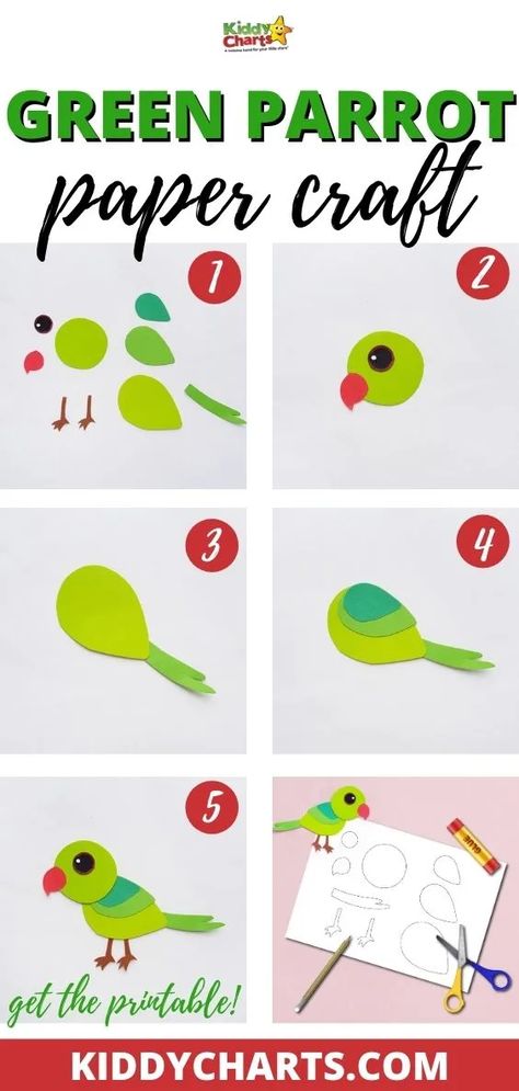 10 Beautiful Parrot Preschool Crafts Activities - Education Outside Parrot Paper Craft, Preschool Crafts Activities, Unicorn Paper Plates, Parrot Craft, Preschool Craft Activities, Red Crafts, Green Parrot, Easy Arts And Crafts, Paper Plate Crafts