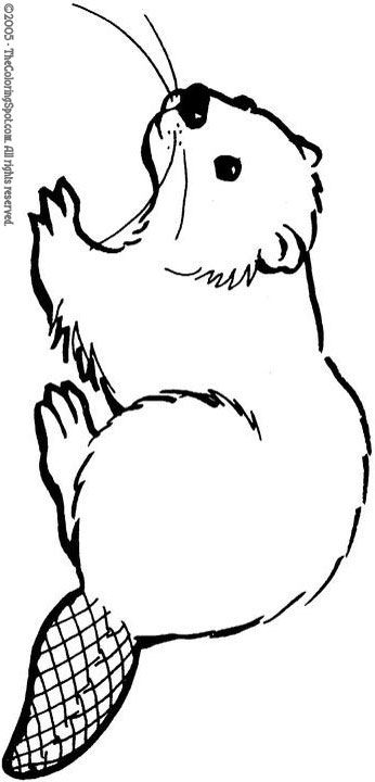 Beaver Art Illustration, Beaver Outline, Beaver Template, Beaver Tattoo, Beaver Pictures, Beaver Drawing, Beaver Scouts, Best Drawing Ideas, Busy Beaver