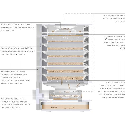 Mealworm Farm, Cricket Farming, Edible Insects, Meal Worms, Black Soldier Fly, Food Video, Worm Farm, Kitchen Waste, Ventilation System