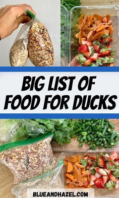 What To Feed Ducks At The Park, Homemade Chicken And Duck Feed, Pet Duck Enclosure, Duck Treats Ideas, Diy Duck Food, Feeding Ducks At The Park, What Can Ducks Eat, Duck Food Feeder, What Do Ducks Eat