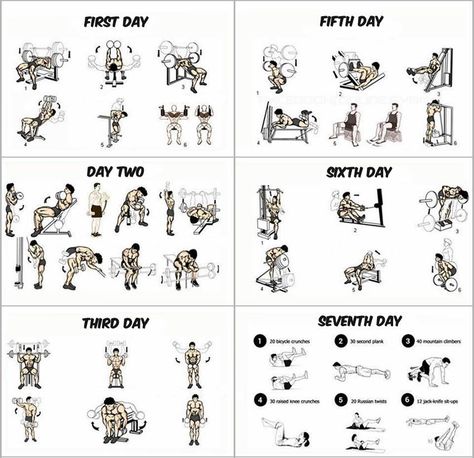 1- This Insanity Workout Calendar takes 6 days and each day is dedicated for one group of muscles. They are divided as the following:chest musclesThe first dayhands musclesDay Twoshoulder musclesThird dayfor little Ab Fitness, 7 Day Workout Plan, Day Workout Plan, Workout Morning, 7 Day Workout, Gym Program, Fitness Studio Training, Workout Fat Burning, Workout Program Gym