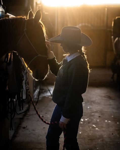 Golden hour in a barn is quite an incredible thing to capture. I had the chance to go down to SR horse trading and film with @allycyr one of the trainers. Wall Photoshoot, 2025 Prayer, Female Horse, Golden Horse, Horse Trainer, Here With Me, A Barn, Prayer Board, Gold Rush