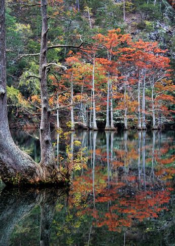 B is for Beavers Bend! Any time of year is the right time for a trip to Beavers Bend & Hochatown State Park in Broken Bow. Known as one of the Sooner State’s most beautiful areas, the park is home to Broken Bow Lake and a myriad of comfy cabins. Hiking, swimming, canoeing, fishing and horseback riding are just a few activities available at one of Oklahoma’s most popular vacation destinations. Broken Bow Oklahoma, Beavers Bend State Park, Broken Bow, Travel Oklahoma, Camping Activities, Camping Experience, Travel And Tourism, Lake View, Go Camping