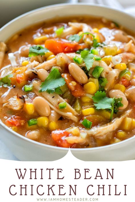 Chicken And White Beans, Roadhouse Recipes, White Bean Chicken Chili, Chilli Recipes, Chicken Chili Recipe, Texas Roadhouse, Turkey Dishes, Savory Dishes, Spicy Chili