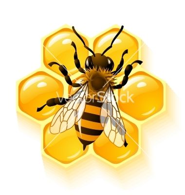 Bee and honeycombs vector 662688 - by denis13 on VectorStock® Bee Images, Bee Drawing, Bee Pictures, Bee Clipart, نباتات منزلية, Bee Painting, Bee Illustration, Cartoon Bee, Bee Honeycomb