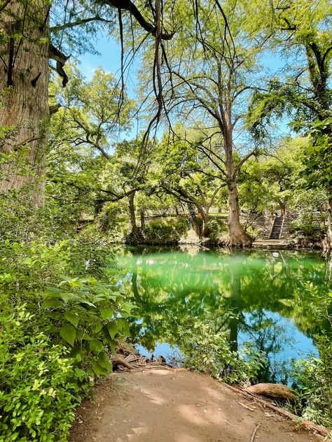 Wimberly Texas, Lavender House, Mount Baldy, Wimberley Texas, Travel Texas, Lavender Cottage, Texas Places, The Bucket List, Blue Hole