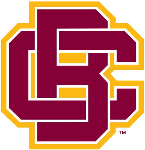 Bethune-Cookman Wildcats Primary Logo (2016) - Football Vinyl Decal, Wildcats Logo, Logo Shapes, University Logo, College Logo, College Team, Abstract Logo, Ncaa Football, Baseball Team