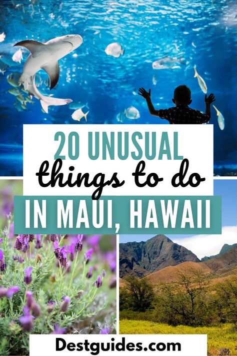 Looking for the best things to do in Maui, Hawaii beyond the usual tourist spots? You're in the right place as this post will show you all the best non-touristy things to do in Maui, Hawaii for an amazing trip. From the best hidden gems in Maui to the unusual things to do in Maui, this post will show you beautiful attractions in Maui you didn't even know existed. So what are you waiting for? Grab your bags, and let's explore the off-the-beaten path in Maui. Travel Maui Hawaii, Best Maui Excursions, Kaanapali Maui Things To Do, Best Things To Do In Maui Hawaii, Top Things To Do In Maui, Maui Must Do Activities, Maui Outfit Ideas 2023, Kihei Maui Things To Do, What To Do In Maui Hawaii