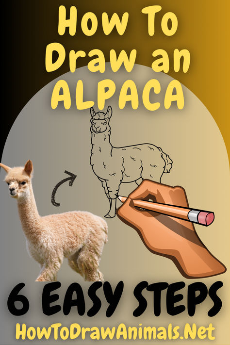 Step-by-step tutorial for drawing an alpaca - ideal for artists of all skill levels Alpaca Illustration, Alpaca Drawing, Art Of Drawing, How To Draw Animals, Easy Drawing Tutorial, Draw Animals, Drawing Tutorial Easy, Piece Of Paper, Easy Drawing