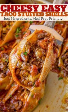 5 Ingredient Cheesy Taco Stuffed Shells are an easy weeknight meal! Jumbo Pasta Shells, Stuffed Pasta, Taco Pasta, Pasta Shells, Stuffed Shells Recipe, Resep Diet, Taco Stuffed Shells, Stuffed Pasta Shells, Goulash