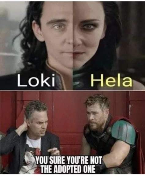 Thor Jokes, Thor Meme, Loki Meme, Marvel Comics Funny, Funny Marvel Memes, Marvel Quotes, Marvel Images, Avengers Comics, Marvel Avengers Movies