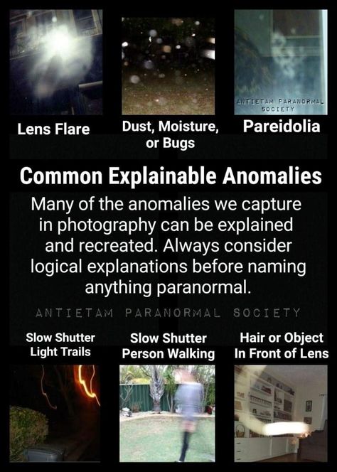 Paranormal Facts, Cryptidcore Aesthetic, Types Of Ghosts, Ghost Haunting, Paranormal Aesthetic, Ghost Hunting Equipment, Paranormal Research, Call Of Cthulhu Rpg, Ghost Sightings