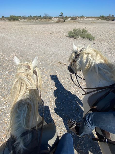 Camarguais. Horse. Camargue. Couple. Aesthetic. Beach. Picture idea. Instagram. Horse riding. Camargue Horse, France Aesthetic, Beach Picture, Sun Shine, Inspo Pics, Aesthetic Beach, Life Inspiration, Couple Aesthetic, The Soil