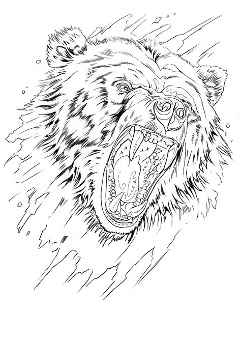 Grizzly Bear Face Tattoo, Bear Tattoo Outline, Bear Tattoo Stencil, Tattoos Stencils Outline, Grizzly Bear Tattoos, Chest Tattoo Stencils, Bear Stencil, Bear Tattoo Designs, Nature Tattoo Sleeve