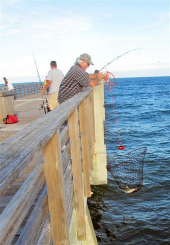 Pier Fishing Basics For Saltwater Fun And Fillets - Union ... Fishing Basics, Salt Water Fishing, Fishing Pier, Fly Fishing Tips, Bass Fishing Lures, Bass Fishing Tips, Crappie Fishing, Fishing Techniques, Ocean Fishing