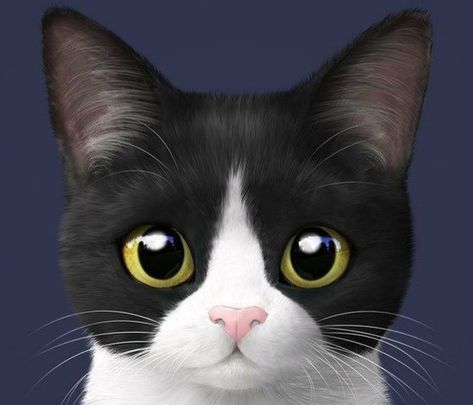 Tuxedo Cat Drawing, Cat Cartoons, Tuxedo Cats, Gorgeous Cats, Tuxedo Cat, White Cats, Animals Artwork, Cat Coffee, Cat Drawing