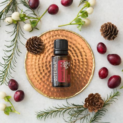 The comforting aroma of Harvest Spice Blend combines sweet and spicy with Cassia Bark, Clove, Nutmeg, Cinnamon; the soothing with Cedarwood; and the fresh and uplifting aroma of Eucalyptus. Celebrate wonderful memories while you gather with loved ones and enjoy the warm and comforting aroma of Harvest Spice. Doterra Christmas, Joy Essential Oil, Cinnamon Bark Essential Oil, Mint Essential Oil, Chamomile Essential Oil, Doterra Oils, Doterra Essential Oils, Spice Blends, Diffuser Blends