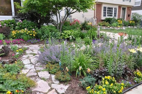 Grassless Landscaping, Grassless Front Yard, Grassless Backyard, Xeriscape Front Yard, Xeriscape Landscaping, Front Yard Plants, Courtyard Landscaping, Walkway Landscaping, Yard Inspiration