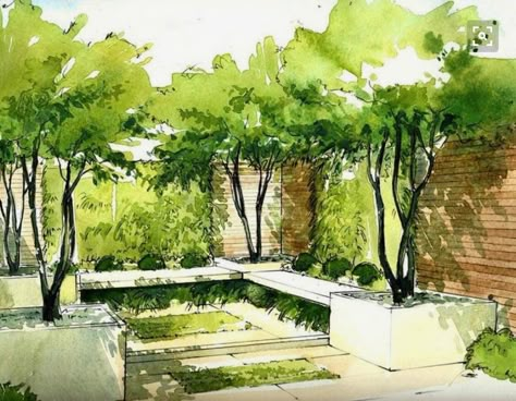 Croquis Architecture, Landscape Design Drawings, Landscape Architecture Drawing, Garden Drawing, Landscape Sketch, Landscape Design Plans, Architecture Graphics, Interior Sketch, Landscape Architecture Design