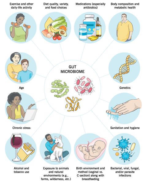 How to Improve Your Gut Health and Microbiome | Precision Nutrition Improve Your Gut Health, Precision Nutrition, Chronic Constipation, Starchy Vegetables, Improve Gut Health, Fiber Supplements, Gut Microbiota, Soluble Fiber, Gut Bacteria