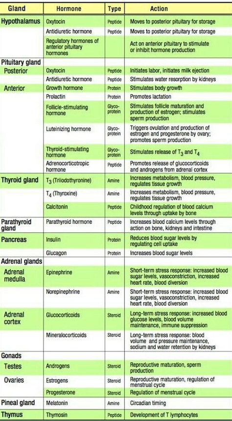 Hormones. | Medical school essentials, Medical school studying, Pharmacology nursing Hormone Study Notes, Hormones Vs Neurotransmitters, Endocrine Hormones Cheat Sheet, Hormones And Their Functions, Adrenal Gland Hormones, Endocrine System Hormones, Endocrine System Nursing, Medical Terminology Study, Teas Test