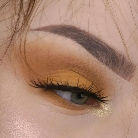 197k Likes, 440 Comments - Anastasia Beverly Hills (@anastasiabeverlyhills) on Instagram: “S U B C U L T U R E PALETTE @annajeanineee BROWS: #Dipbrow in Soft Brown” Brown Makeup, An Eye, Mustard, A Woman, Lashes, Eye Makeup, Yellow, Makeup, Gold