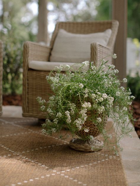 French Cottage Front Porch, French Cottage Landscaping, Best Front Porch Plants, Front Porch Rugs Outdoor Ideas, English Cottage Front Porch, Traditional Front Porch Decor, Cottage Back Porch, Front Porch Landscaping Ideas, Garden Front Porch