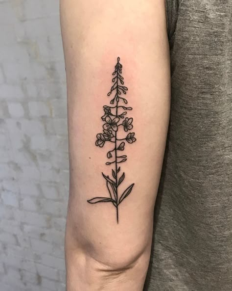 Fireweed Tattoo, Alaska Tattoo, Botanical Tattoo, Sister Tattoos, Piercing Tattoo, Get A Tattoo, Tattoo You, Pretty Tattoos, Future Tattoos