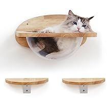 Cat Habitat, Cat Nursery, Cat Wall Shelves, Found Cat, Cat Wall Furniture, Cat Lounge, Wall Furniture, Cat Perch, Cat Hammock