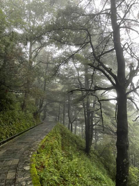 All The Different Aesthetics, Folklore Fall, Forest Aesthetic Dark, The Different Aesthetics, Folklore Cabin, Forest In Fall, Folklore Forest, Real Life Aesthetic, Asthetic Pics