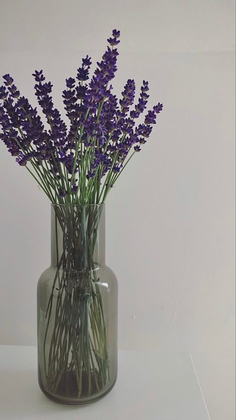 Purple Flowers Aesthetic Wallpaper, Purple Minimalist Aesthetic, Lavender Flowers Aesthetic, Lavender Aesthetic Flower, Lavender Flower Aesthetic, Lavender Flower Wallpaper, Lavanda Aesthetic, Lavender Purple Aesthetic, Lavender Wallpaper Aesthetic