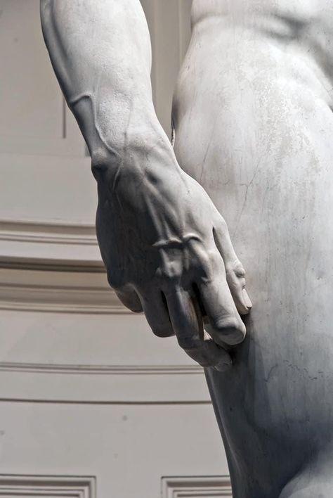 The veins in David's imposing right hand appear astonishingly lifelike, almost as if they are transcending the limitations of the marble they were meticulously carved from. Chief Architect, Greek Sculpture, Byzantine Art, The Marble, Marble Statues, Marble Sculpture, Art Academy, Small Canvas, Anatomy Art