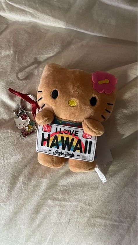 Hello Kitty Stuffed Animal, Hawaii Hello Kitty, Brown Keychain, Kitty Stuffed Animal, Animal Sitting, Hello Kitty Pink, Hello Kitty Items, Coconut Girl, Pink Brown