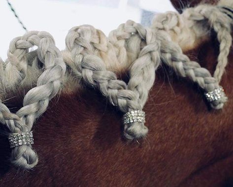 Horse wedding idea for the mane Long Mane Braids Horse, Horse Forelock Styles, Saddles Aesthetic, Braided Horse Mane, Braided Horse Tail, Mane Braids For Horses, Horse Braiding Ideas, Horse Braids Mane, Horse Mane Ideas