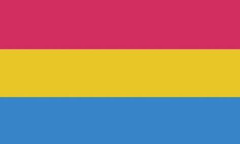 Owl Printables, Pansexual Flag, Bisexual Flag, Yennefer Of Vengerberg, Lgbt Flag, Lgbtq Flags, Pen Collection, Facebook Business, Find Color