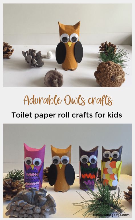 Here is an easy toilet paper roll owl craft to make with your kids. Our tutorial includes 4 different owls toilet paper roll crafts for kids. #birds #owlcrafts Owl Craft, Toilet Roll Craft, Toilet Paper Crafts, Owl Crafts, Toilet Paper Roll Crafts, Paper Roll Crafts, Fall Crafts For Kids, Crafty Kids, Crafts For Kids To Make