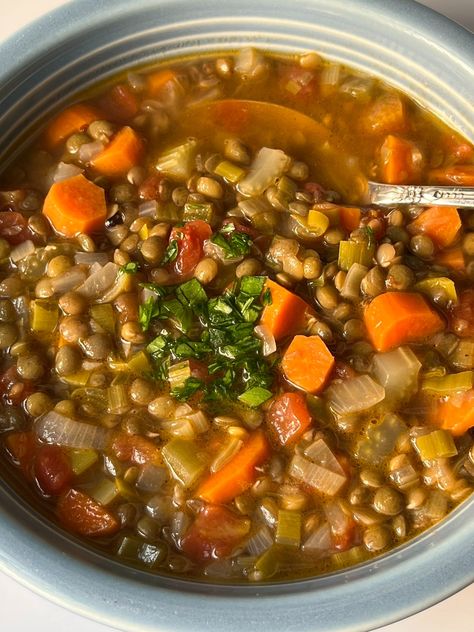 Quick French Lentil Soup Recipe — Lake Isle Press French Lentil Soup, Green Lentil Soup, October Food, Easy Vegan Soup, French Green Lentils, Lentil Soup Recipe, Vegan Lentil Soup, French Lentils, Lentil Soup Recipes