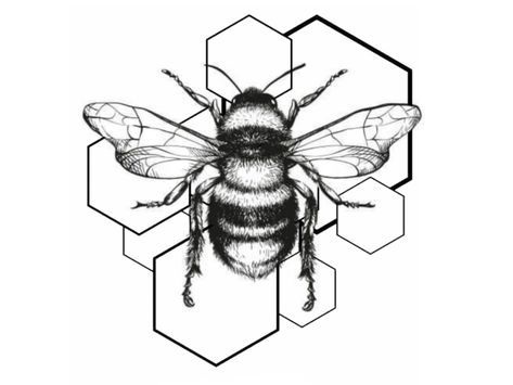 Bee Hexagon Drawing, Bee Hive Tattoo Design, Bee And Honeycomb Tattoo, Tattoo Wreath, Flower Tattoo Stencils, Hexagon Tattoo, Honey Bee Tattoo, Honeycomb Tattoo, Cupid Tattoo