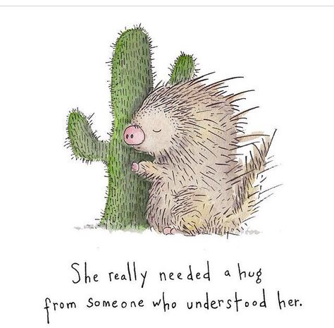 Need a Hug from Someone Who Understands? Ladies Night In peer support group ~ #infertility does not have to be isolating Cactus Quotes, Hug Quotes, A Hedgehog, Peer Support, Need A Hug, A Hug, Support Group, Cute Quotes, The Words