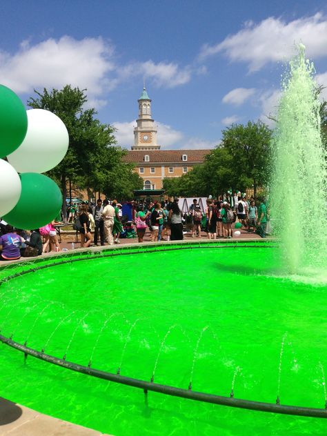 my 1000th pin goes to my wonderful school, the University of North Texas! Go Mean Green North Texas University, University Of North Texas Aesthetic, College Necessities, Vision Bored, Denton Texas, Battle Flag, University Of North Texas, Texas Girl, Work Flow