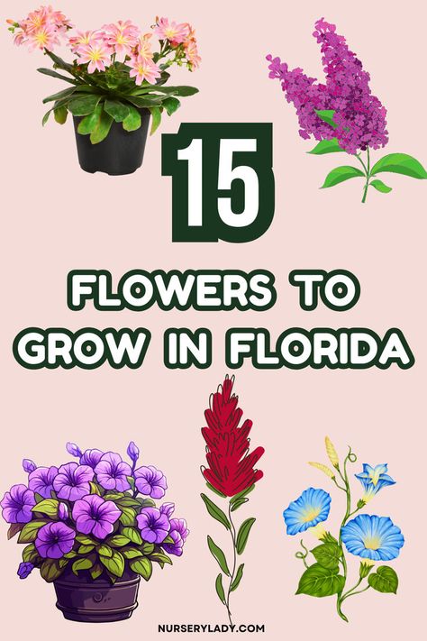 Discover the 15 best flowers to grow in Florida, perfect for Florida plants landscaping and zone 9 landscaping Florida. These Florida flowers include favorites like Firebush plant Florida and Caladium garden for vibrant outdoor spaces. Ideal for Florida native plants and British colonial garden styles, these blooms thrive in full sun Florida landscaping. Whether you’re looking for the best cut flowers to grow in Florida or native options, find inspiration for Florida landscaping ideas. Native Florida Flowers, Flowers To Grow In Florida, Florida Native Plants Landscapes, Zone 9 Landscaping Florida, Zone 9 Landscaping, British Colonial Garden, Firebush Plant, Best Cut Flowers To Grow, Cut Flowers To Grow