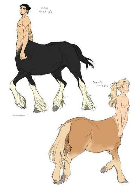 Fantasy Centaur Art, Beautiful Myths, Bull Centaur, Centaur Character, Centaur Art, Anime Centaur, Female Centaur, Fantasy Creatures Art, Creature Feature