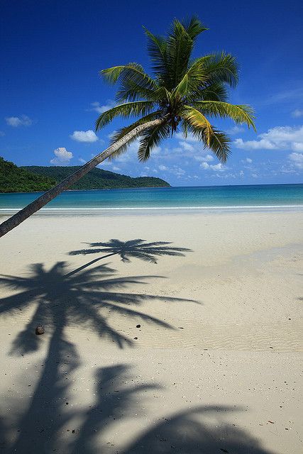 Koh kut island is the farthest island from the coast of Trat. Large Pond, Koh Kood, Thailand Honeymoon, Thailand Itinerary, Thailand Adventure, Thailand Vacation, Famous Waterfalls, Thailand Travel Tips, Thailand Travel Guide