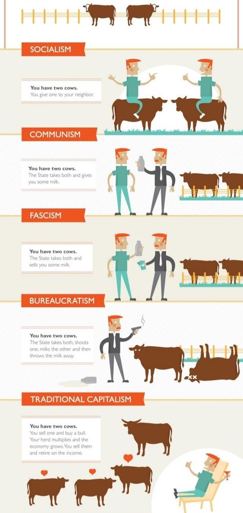 Forms of government explained through cows Youtube Career, Types Of Government, Infographic Examples, Infographic Inspiration, World History Lessons, Best Career, Freedom Life, Human Interest, Form Of Government