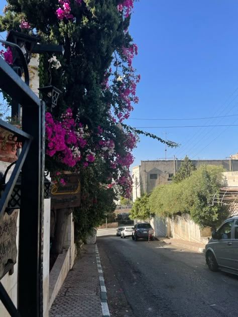 Amman | love | rainbow street | aesthetic | arab Jordan Country Amman, Amman Jordan Aesthetic, Amman Aesthetic, Alrawabi School, Jordan Aesthetic, Jordans Aesthetic, Jordan Country, Jordan Amman, Street Aesthetic