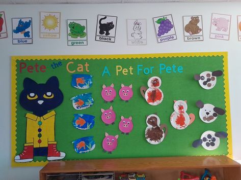 Pet themed bulletin board preschool Pet Study Bulletin Board, Pet Theme Bulletin Board Ideas, Pets Bulletin Board Ideas, Preschool Pet Week, Pet Study Preschool Activities, Preschool Pet Activities, Bulletin Board Preschool, Preschool Displays, Pet Study