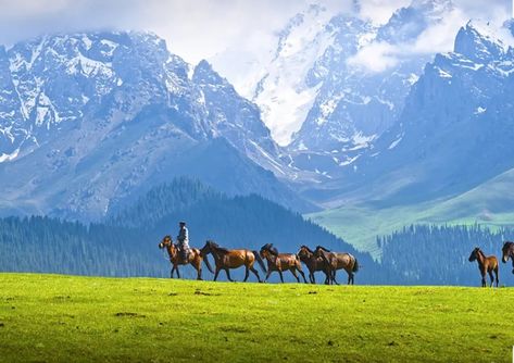 China Mountains, Camel Painting, China Vacation, China Places, Holiday China, China Travel Guide, Xinjiang China, Explore China, China Culture